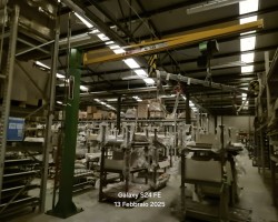 Liquidazione Gru a bandiera Elephant mod. A125/3.5. Portata kg. 125, anno 2018