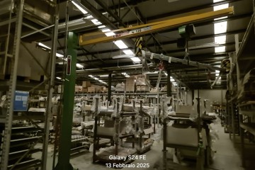 Liquidazione Gru a bandiera Elephant mod. A125/3.5. Portata kg. 125, anno 2018