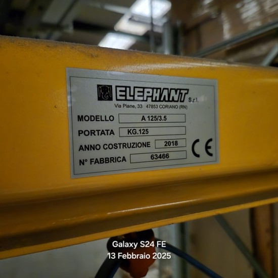 Liquidazione Gru a bandiera Elephant mod. A125/3.5. Portata kg. 125, anno 2018