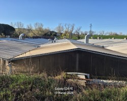 Liquidazione tettoia mobile con struttura in ferro e copertura telonata